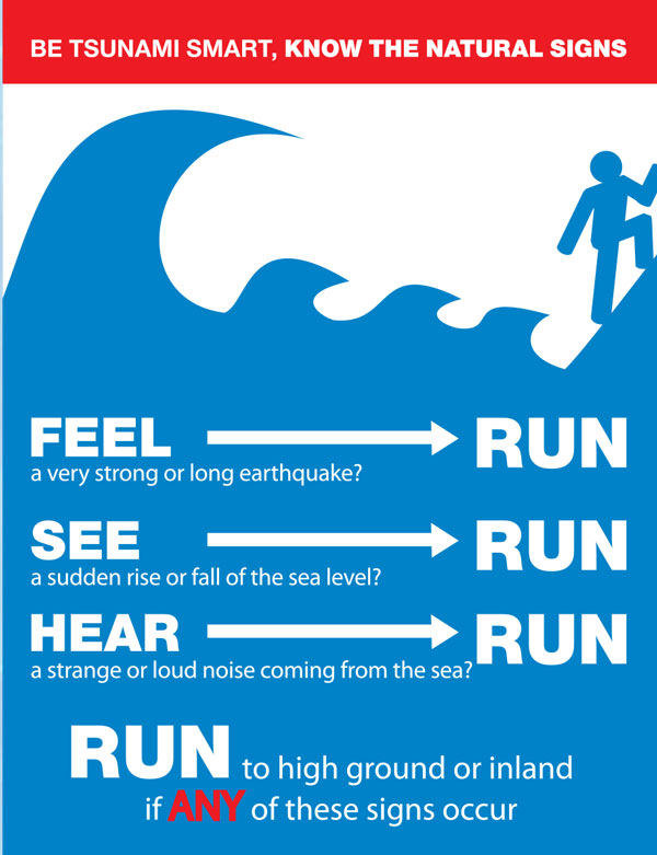 Sensing a Tsunami Infographic