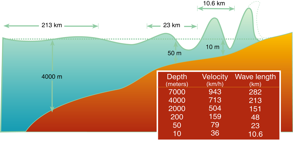 Tsunami on the move